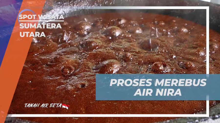 Mengikuti Proses Merebus Air Nira untuk Gula Merah di Sumatera Utara  