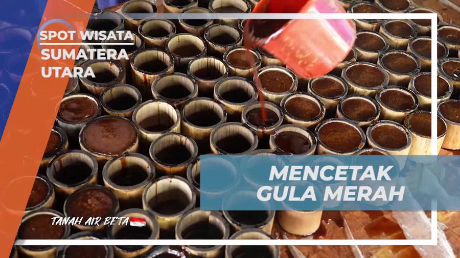 Mencetak Gula Merah Tradisional di Sumatera Utara 