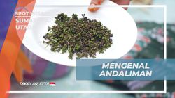Mengenal Rempah Andaliman dari Desa Simarimbun Dolok, Sumatera Utara  