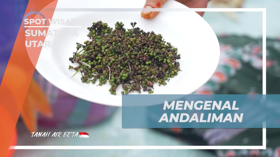 Mengenal Rempah Andaliman dari Desa Simarimbun Dolok, Sumatera Utara  