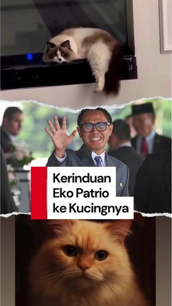 Video: Eko Patrio Ngaku Rindu Kucing Kucingnya yang Dijarah