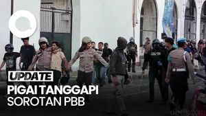Video PBB Soroti Penanganan Demo di RI, Ini Kata Pigai
