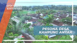 Menjelajahi Pesona Desa Kampung Anyar Bersama Selebriti di Banyuwangi  