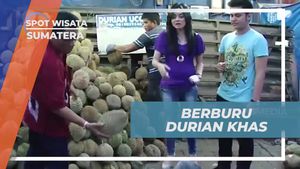 Mencicipi Durian Khas Medan yang Lezat di Sumatera Utara  