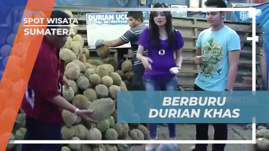 Mencicipi Durian Khas Medan yang Lezat di Sumatera Utara  