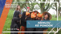 Menuju Ke Pondok Setelah Beraktivitas di Hutan De Djawatan Banyuwangi  