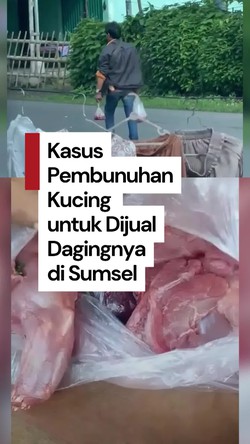 Video: Heboh Pria di Sumsel Jagal Ratusan Kucing, Dagingnya Dijual ke Warga