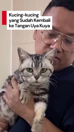 Video: Kabar dari Uya Kuya Terkait Kucing-kucingnya
