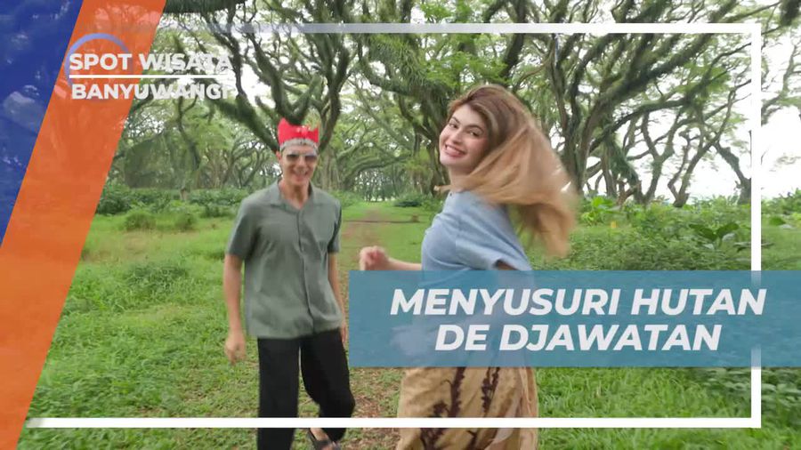 Mengunjungi dan Menyusuri Keindahan Hutan De Djawatan di Banyuwangi  
