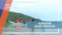 Mengikuti Perjalanan Menikmati Pemandangan Laut dan Bukit di Teluk Kiluan, Lampung  