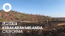 Video: Dampak Kehancuran Akibat Kebakaran Lahan di Chinese Camp California