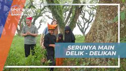 Bermain Delik-Delikan Bersama Anak-anak di Hutan De Djawatan Banyuwangi  