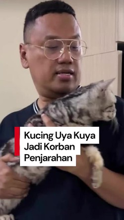 Video Uya Kuya Cerita soal Kucing-kucingnya Usai Rumah Dijarah