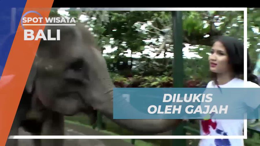 Dilukis Oleh Gajah dengan Kaos Polos di Bali  
