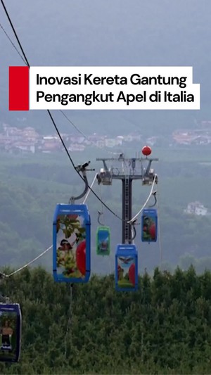  Video: Kereta Gantung di Italia Ini Bukan Bawa Wisatawan, Tapi...