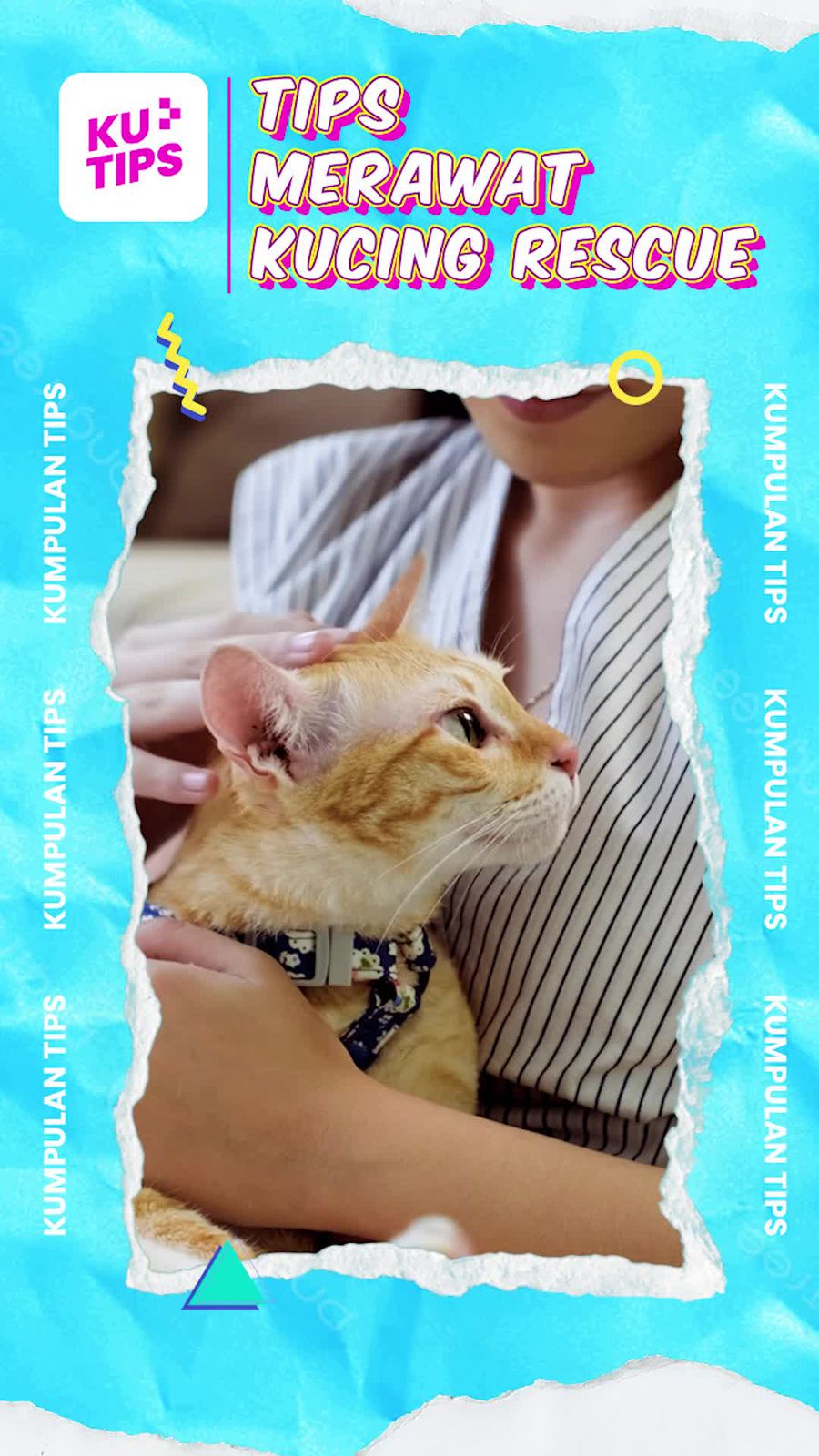 Video KuTips: Persiapkan Ini Ya detikers Saat Mau Rescue Kucing!