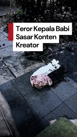 Video: Momen Konten Kreator di Bogor Dapat Teror Kiriman Kepala Babi