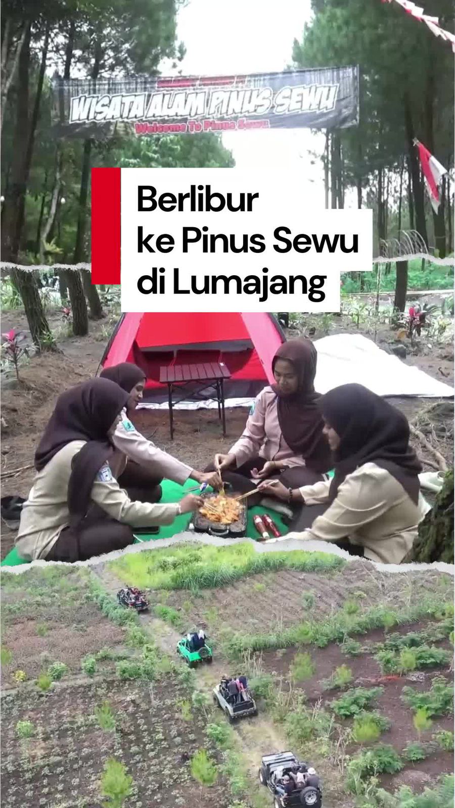 Video Pinus Sewu, Rekomendasi Wisata di Lumajang
