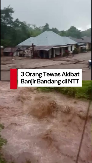 Video: Banjir di Nagekeo NTT Menelan Korban Jiwa, 3 Tewas-4 Hilang