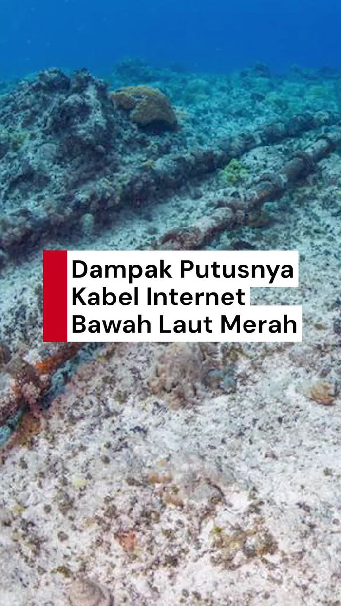 Video: Sejumlah Negara Terdampak Kabel Internet Bawah Laut Merah Putus