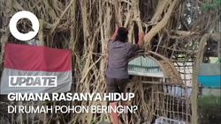Video: Pria di Sidoarjo Hidup Belasan Tahun di Rumah Pohon Beringin