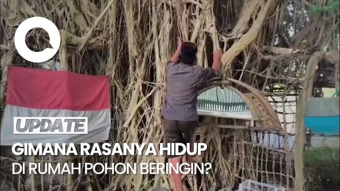 Video: Pria di Sidoarjo Hidup Belasan Tahun di Rumah Pohon Beringin
