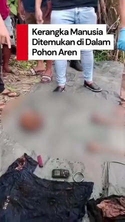 Video: Geger Kerangka Manusia Ditemukan di Dalam Pohon Aren di Sergai 