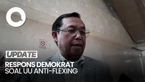 Video: Demokrat soal Usulan UU Anti-Flexing: yang Penting Sensitif ke Masyarakat