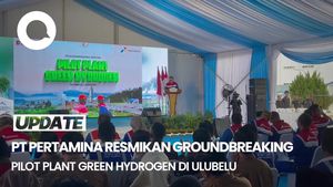 Pilot Plant Green Hydrogen Merupakan Komitmen Pertamina Mendukung NZE 2060