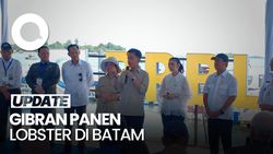 Video: Momen Gibran Panen Lobster Bareng Titiek Soeharto-Trenggono