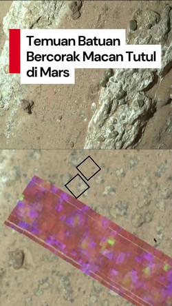 Video Analisis NASA soal Temuan Batuan Bercorak Macan Tutul di Mars