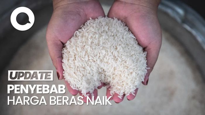 Video: Komisi IV DPR Ungkap Biang Kerok Harga Beras Naik