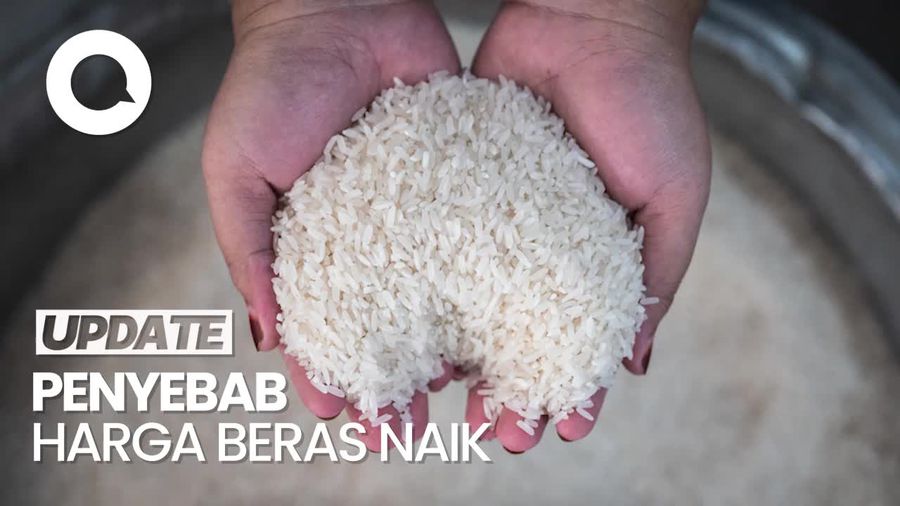 Video: Komisi IV DPR Ungkap Biang Kerok Harga Beras Naik