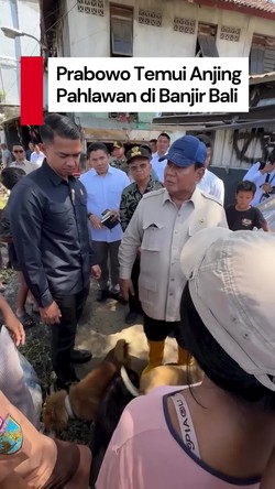 Video: Momen Prabowo Temui Anjing yang Selamatkan Tuannya saat Banjir Bali