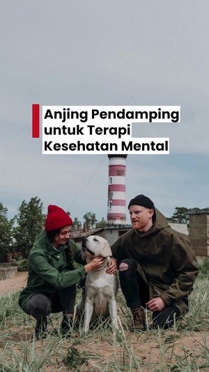 Video: Anjing Pendamping di Inggris Bantu Terapi Kesehatan Mental