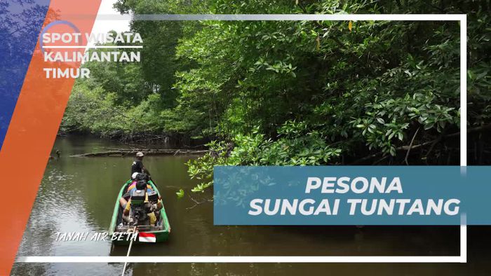 Menikmati Pesona Sungai Tuntang yang Indah di Kalimantan Timur  