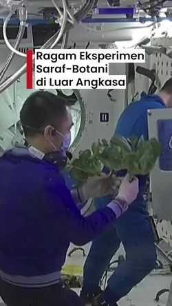 Video: Melihat Berbagai Eksperimen Astronaut Tiongkok di Luar Angkasa