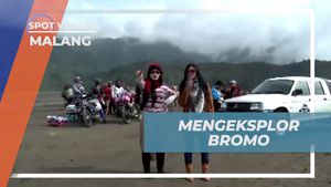 Menyelami Keindahan Alam Gunung Bromo yang Menakjubkan di Malang  