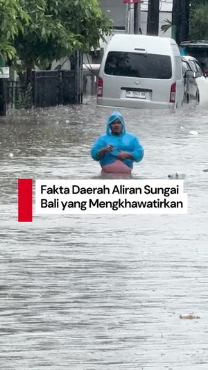 Video: Bicara soal Banjir, Menteri LH Soroti Daerah Aliran Sungai Bali