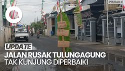 Video: Jalan Rusak di Tulungagung Ditanami Pohon Pisang oleh Warga