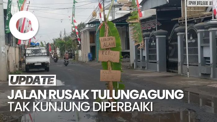 Video: Jalan Rusak di Tulungagung Ditanami Pohon Pisang oleh Warga