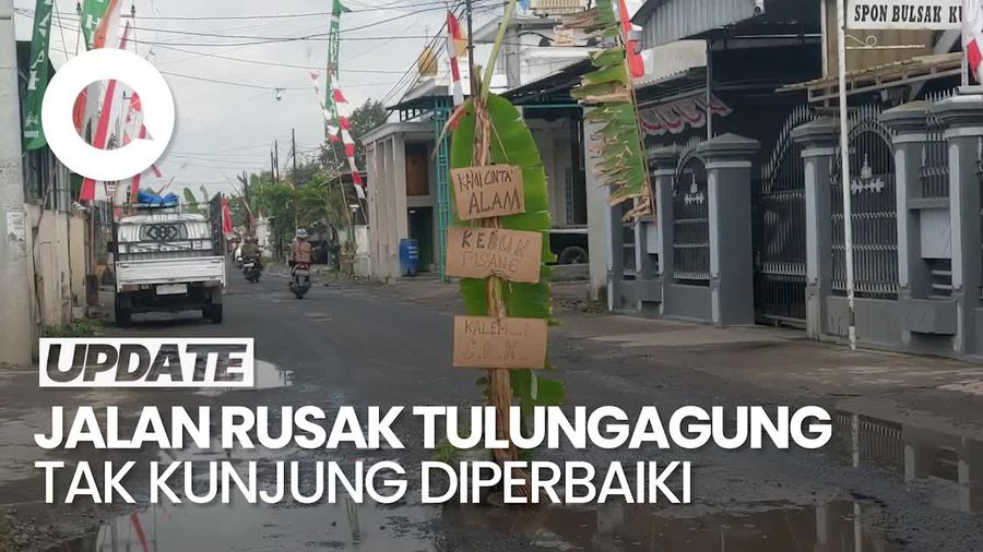 Video: Jalan Rusak di Tulungagung Ditanami Pohon Pisang oleh Warga