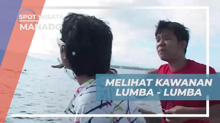 Melihat Kawanan Lumba-Lumba di Bunaken dan Menikmati Keindahan Alam Bebas di Manado  