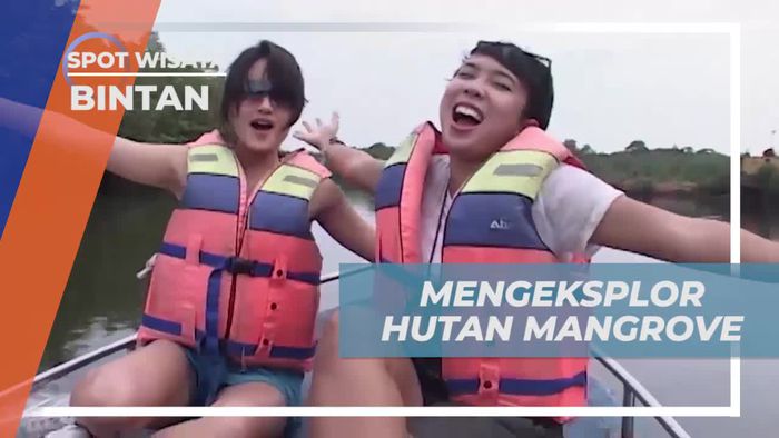 Menyusuri Hutan Mangrove Bintan dengan Speed Boat, Keindahan Alam yang Asri  