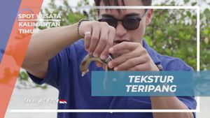 Menyelami Tekstur Kenyal Teripang di Pulau Segajah, Kalimantan Timur  