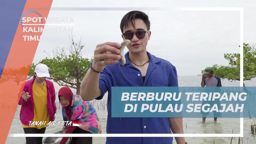Berburu Teripang di Pulau Segajah Bersama Warga di Kalimantan Timur  