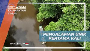 Mengalami Pengalaman Unik Saat Berinteraksi dengan Buaya Riska di Sungai Tuntang, Kalimantan Timur  