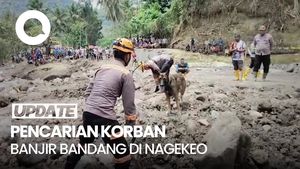 Video: Anjing Pelacak Dikerahkan Cari Korban Banjir Bandang di NTT