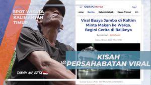 Menyebarkan Kisah Persahabatan Buaya Riska yang Viral di Kalimantan Timur  