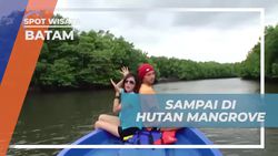 Menyusuri Hutan Mangrove dengan Speedboat di Batam dan Menikmati Keindahannya  